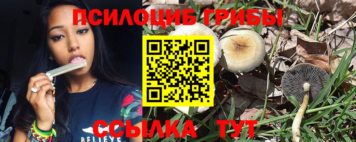 Верхняя Салда  Псилоцибиновые грибы мицелий  Галлюциногенные грибы Cubensis  Вход с VPN 